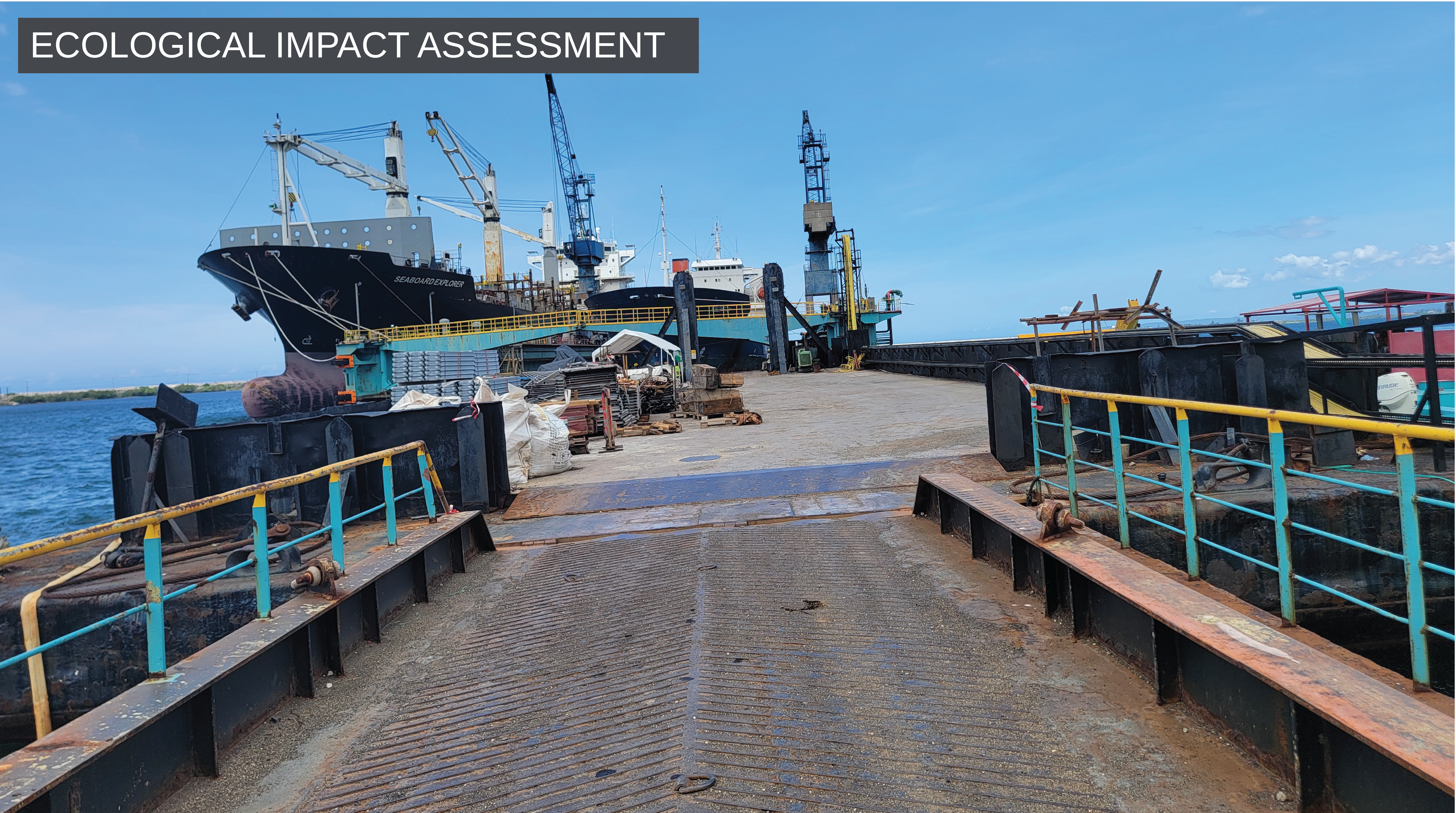 Ecological Impact Assessment Image